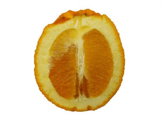 תפוז שמוטי