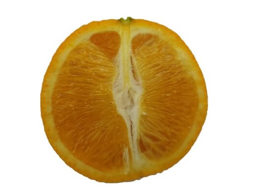 תפוז ולנסיה